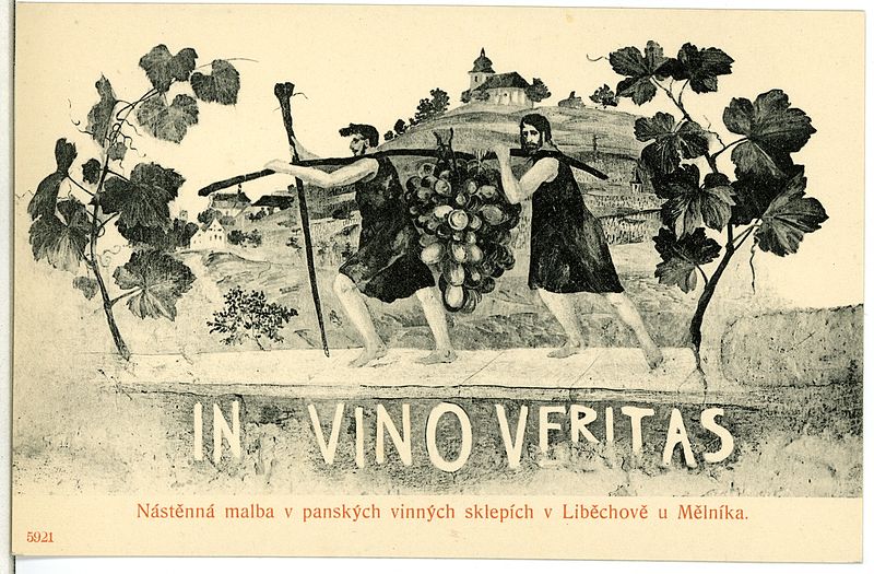 File:05921-Melnik-1905-Weinfest - Weinernte-Brück & Sohn Kunstverlag.jpg