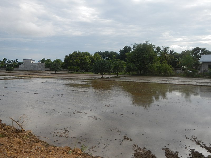 File:08338jfPulilan Bulacan School Center Landmarks Roadsfvf 23.jpg