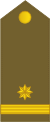 12-APM-MAJ.svg