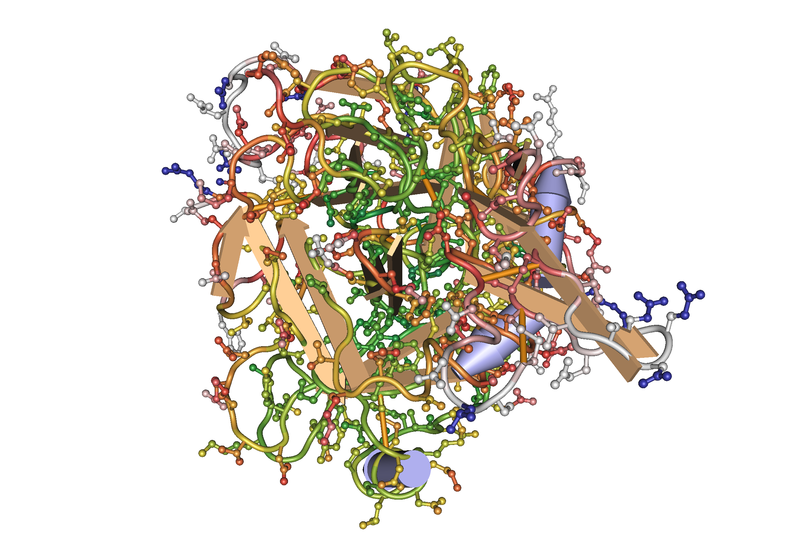 File:1HCG CoagulationFactorXa04.png