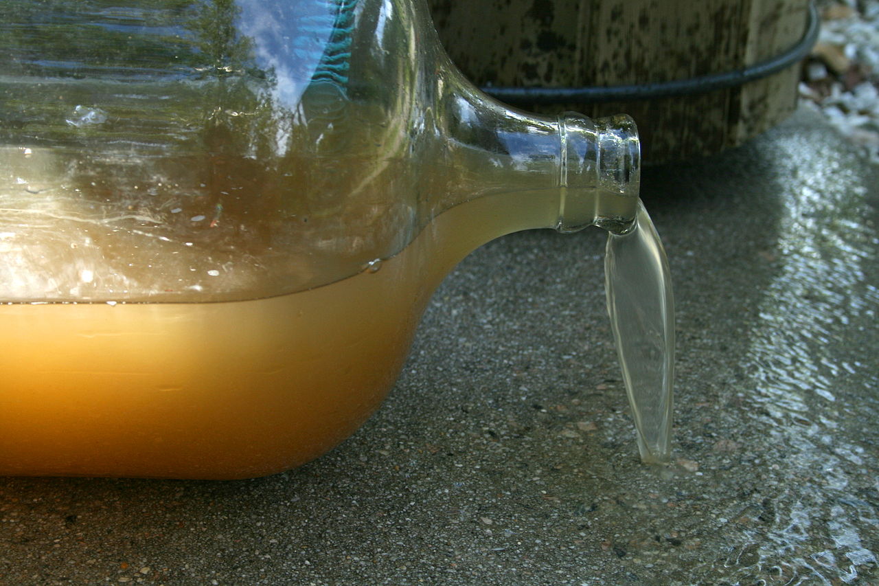 File:Glass-of-water.jpg - Wikimedia Commons