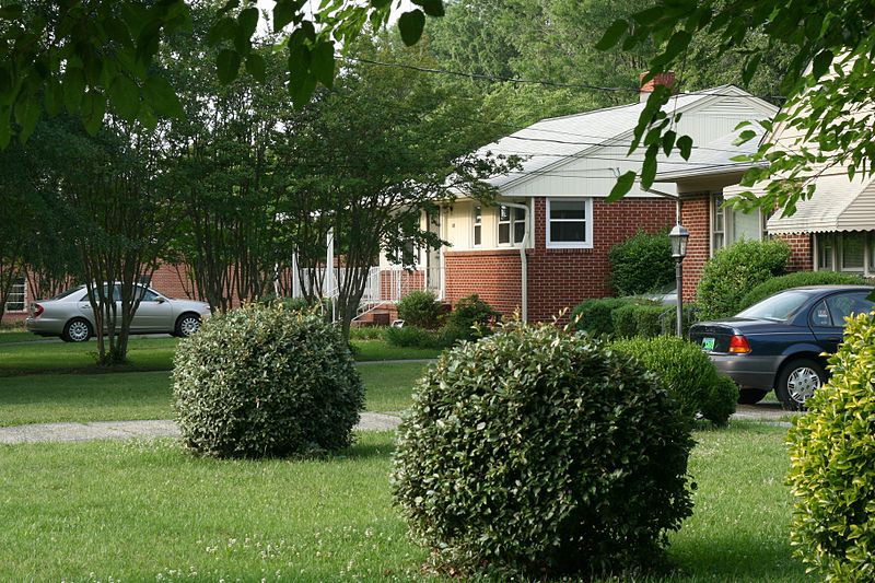 File:2010-05-28 Houses on Watts St in Trinity Park.jpg