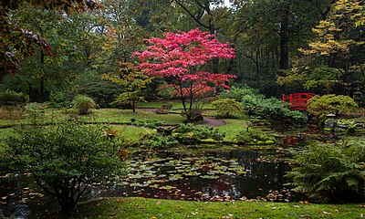 2015 1016 Japanese Garden Clingendael 06.jpg