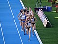 File:2017 European Athletics U23 Championships, 800m women qualifications1  14-07-2017.jpg - Wikimedia Commons