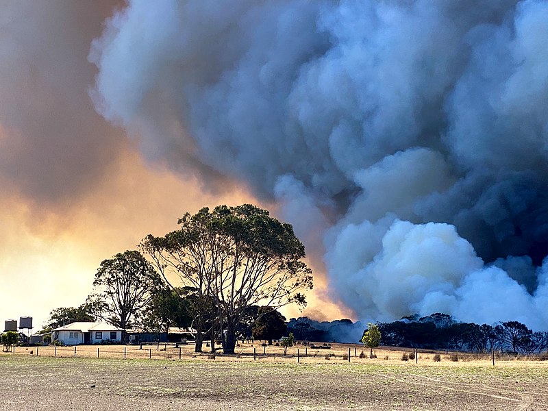 Archivo:2019-20 Australian Bushfires - Kangaroo Island, South Australia (51368508483).jpg