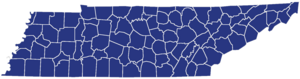 2020 TN Republican Primary Results.png