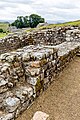 A view of Housesteads Roman Fort along Hadrian's Wall in the United Kingdom.