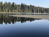 Spring Lake (condado de King, Washington)