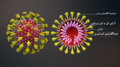 3D medical animation corona virus-sd.png