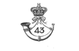 <span class="mw-page-title-main">43rd (Monmouthshire) Regiment of Foot</span> Military unit