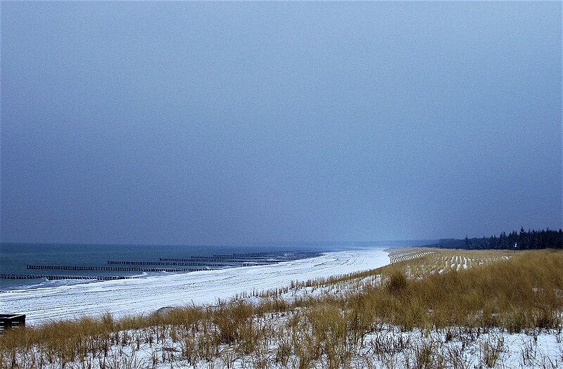 File:Ahrenshoop 2006 - Strand 2.jpg