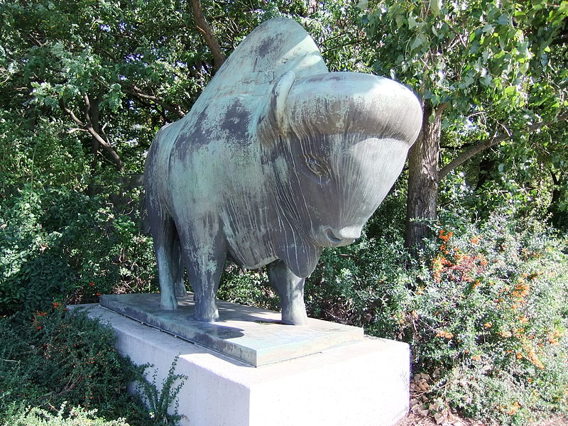 File:Am Tierpark, Bison.jpg