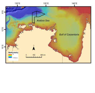 <span class="mw-page-title-main">Arafura Marine Park</span> Protected area in the Northern Territory, Australia