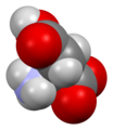 Aspartic-acid-from-xtal-view-1-3D-sf.png