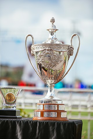 <span class="mw-page-title-main">Auckland Cup Week</span>