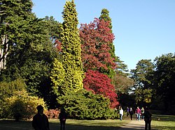 Herbst im Westonbirt Arboretum