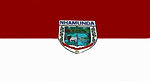 Bandeira de Nhamundá..jpg