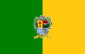 Ciudad Guzmán - Drapeau