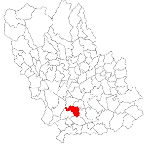 Bărcănești (Prahova)