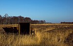 Bargerveen Nature Reserve