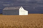 Barn_in_South_Dakota_in_wheat_field.jpg