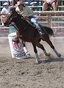 Mechanical hackamore used in conjunction with a tiedown in barrel racing Barrel racing.jpg