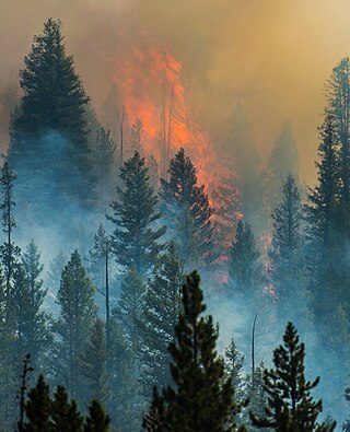 <span class="mw-page-title-main">Beaver Creek Fire</span>