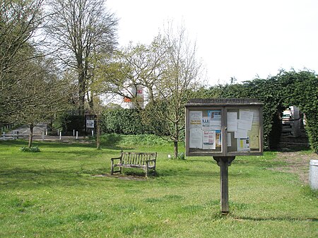 Bepton Common