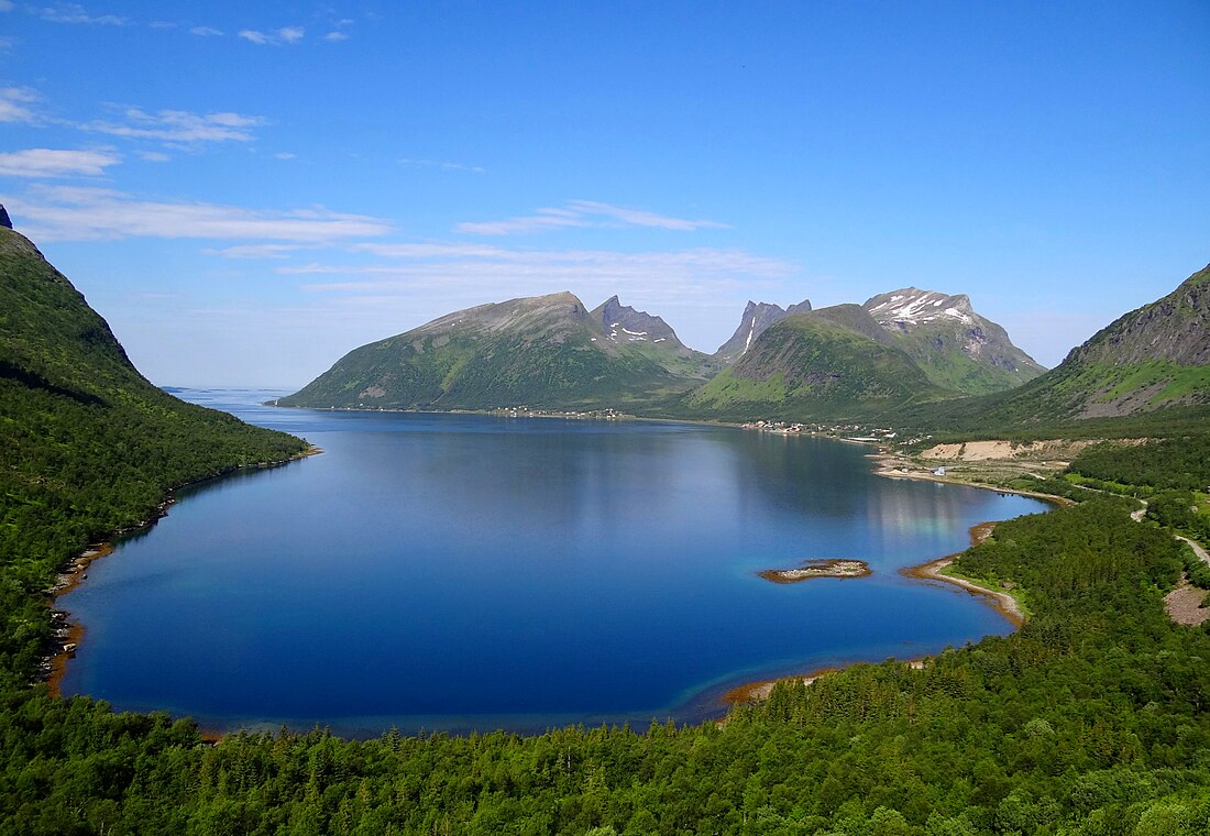 Berg, Norveška