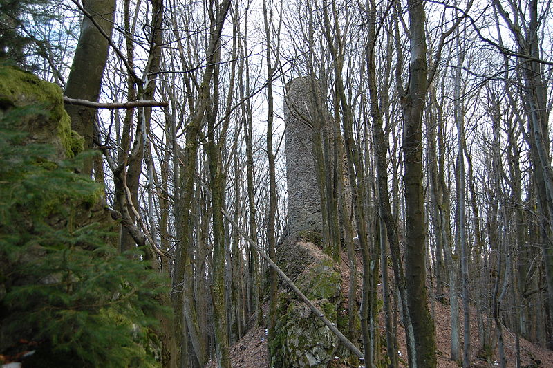 File:Bild Burg Stadlern 2011 03.JPG