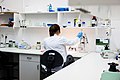 Biologist at work in the pre-PCR laboratory. Institute of Systematics and Evolution of Animals Polish Academy of Sciences in Cracov.jpg