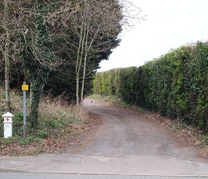 File:Birchwood Road, Swanley, Kent - geograph.org.uk - 4877690.jpg