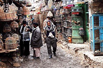 Bird Market Kabul.jpg