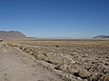 Black Rock Desert, Near Gerlach, Nevada (11128563876).jpg