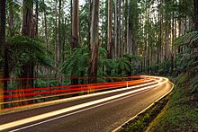 Light trails from cars in 2019. Black Spur, Yarra Ranges NP, Vic, Australia - Diliff.jpg