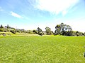 Blackie's Pasture in Tiburon, CA