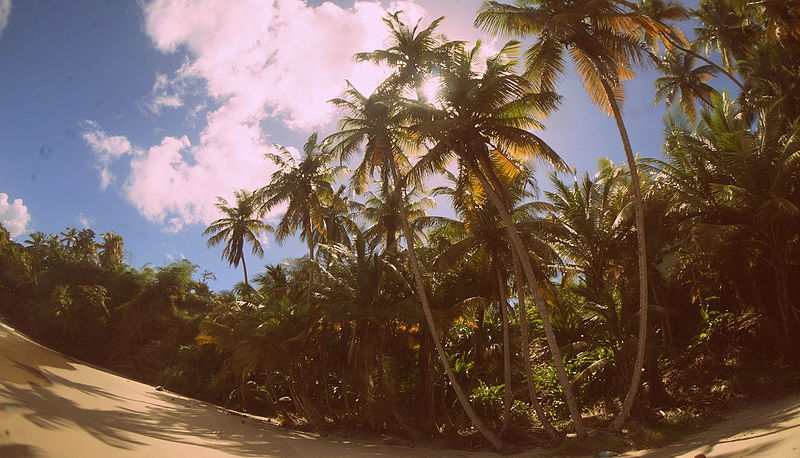 File:Blanchisseuse Beach.JPG