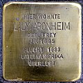 wikimedia_commons=File:Braunschweig Stolperstein Lily Aronheim Inselwall 4 (2013) (cropped).JPG image=File:Braunschweig Stolperstein Lily Aronheim Inselwall 4 (2013) (cropped).JPG