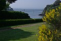 Végétation et vue sur la baie de Port-Clos, île de Bréhat, Côtes-d'Armor, France.