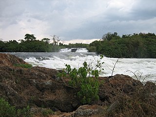 Bujagali Hydroelectric Power Station Power station in Uganda