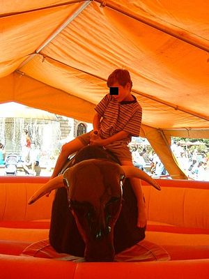 Mechanical Bull Rental Maryland