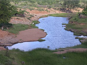 Buvuma to'g'onining quyi qismida baliq ovlash