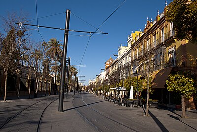 Calle San Fernando (Sevilla)