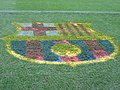 Logo du Barça sur le terrain de jeu