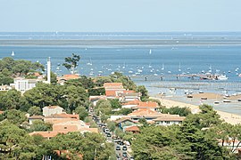 Le quartier Bélisaire au Cap-Ferret vu depuis le sommet du phare.
