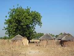 Cases Moba 2 (vers Dapaong, région des savanes, Togo).jpg