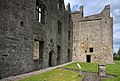 Castles of Leinster, Athlumney, Meath (3) - geograph.org.uk - 2494800.jpg