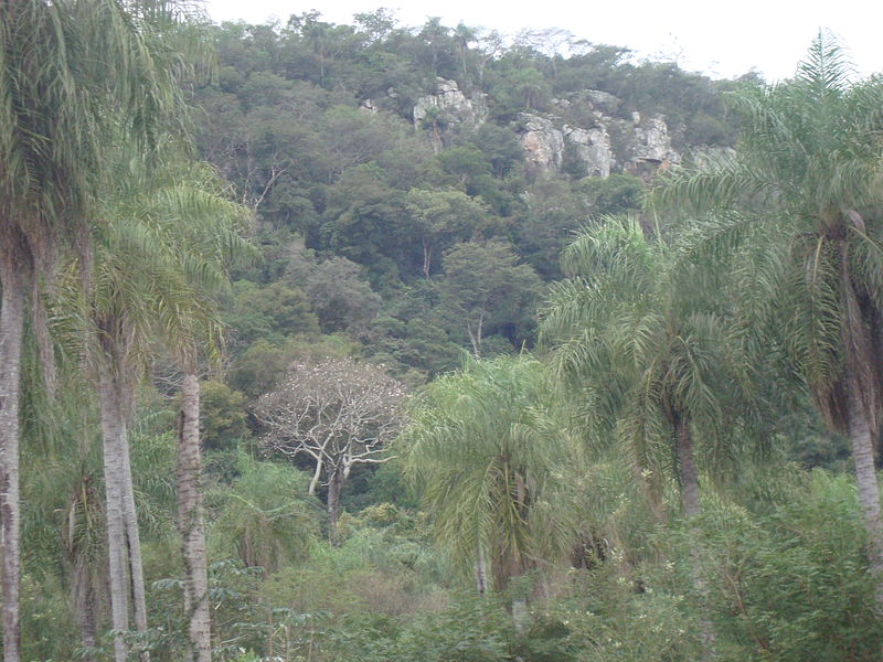 File:Cerro Aguaity.jpg