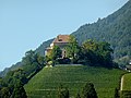 Le château du Châtelard et son vignoble