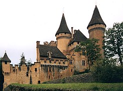 Le château de Puymartin.